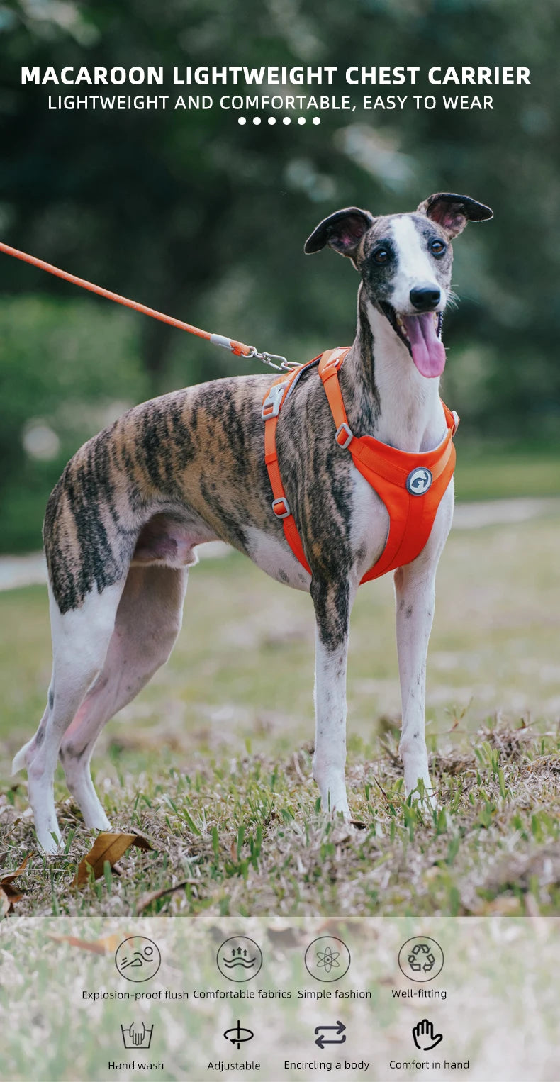 Dog Breathable Harness NO PULL Pet Reflective Harness Vest For Small Large Dog Walk Training In Outdoor Lead Collar Pet Supplies