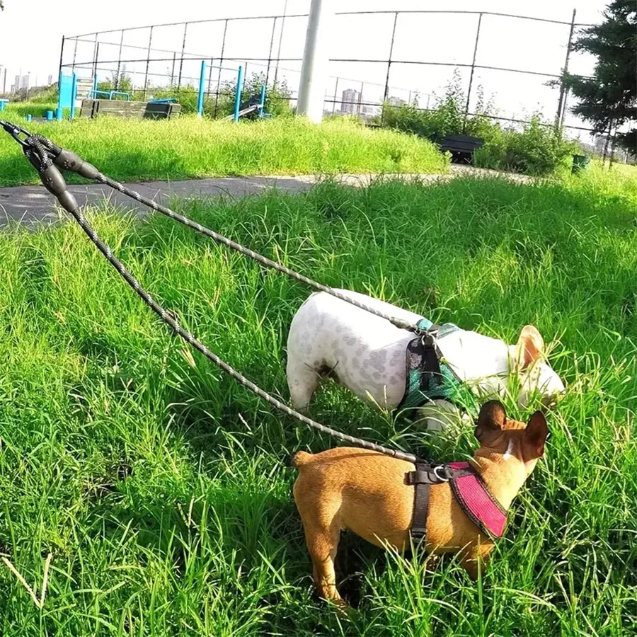 Dual Dog Leash - 360 Swivel No Tangle Walking Leash for Small Dogs - Double the Fun and Safety on Walks