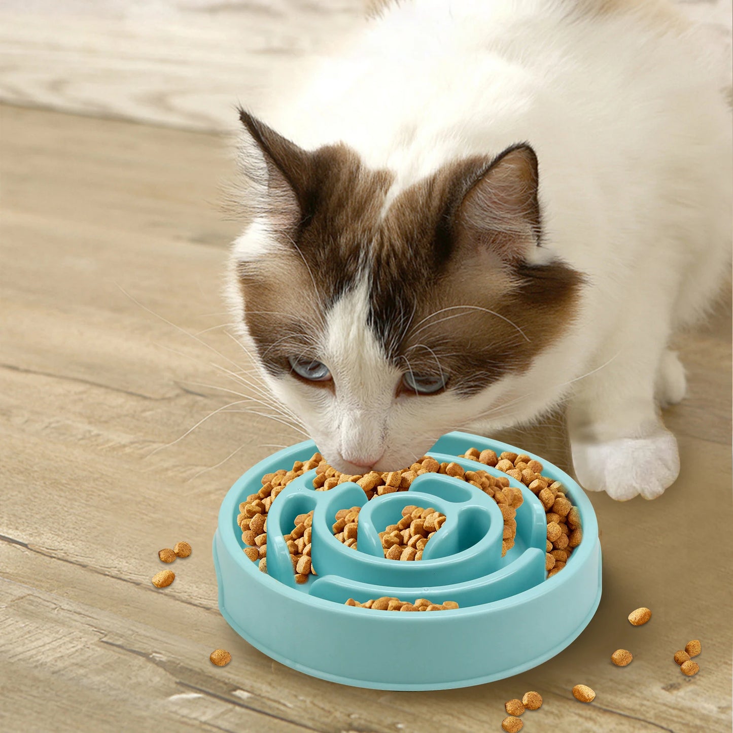 Pet Dog Slow Feeder Bowl Fun Non Slip Anti-Gulping Slower Food Feeding Dishes Eco Dog Bowl for Small Medium Large Dogs Puppy