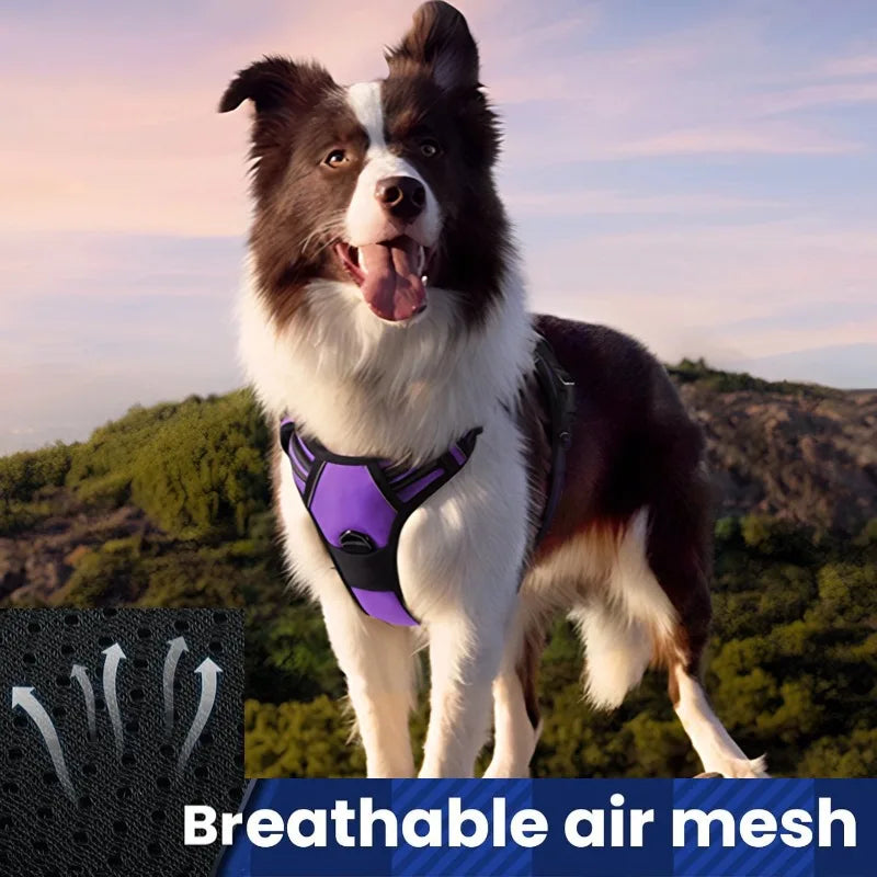 Reflective anti-pulling dog harness for large dogs - Heavy-duty anti-bite dog jacket with padded chest section (escape preventio