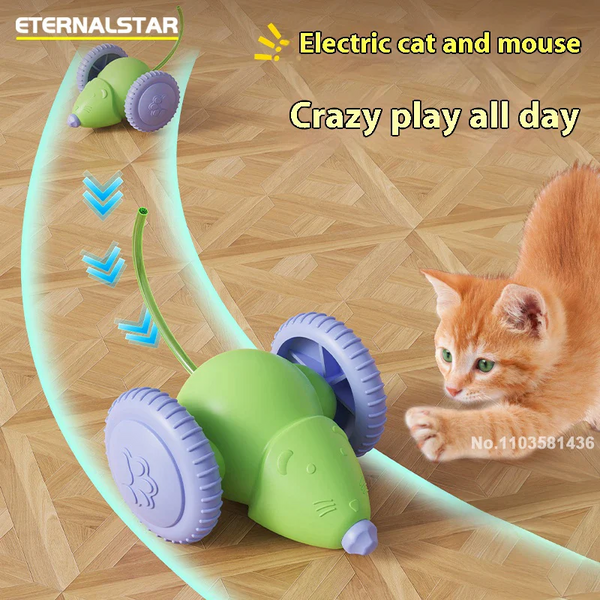 Pet Toy